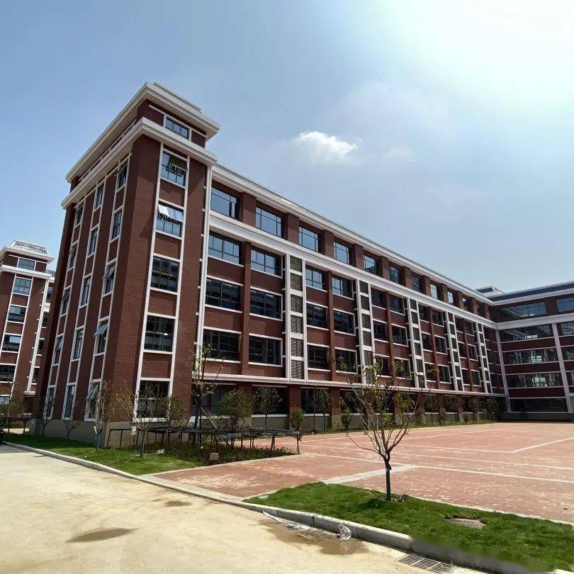 学校,省武昌实验小学临空港分校,当代春风十里小学和天纵半岛蓝湾小学