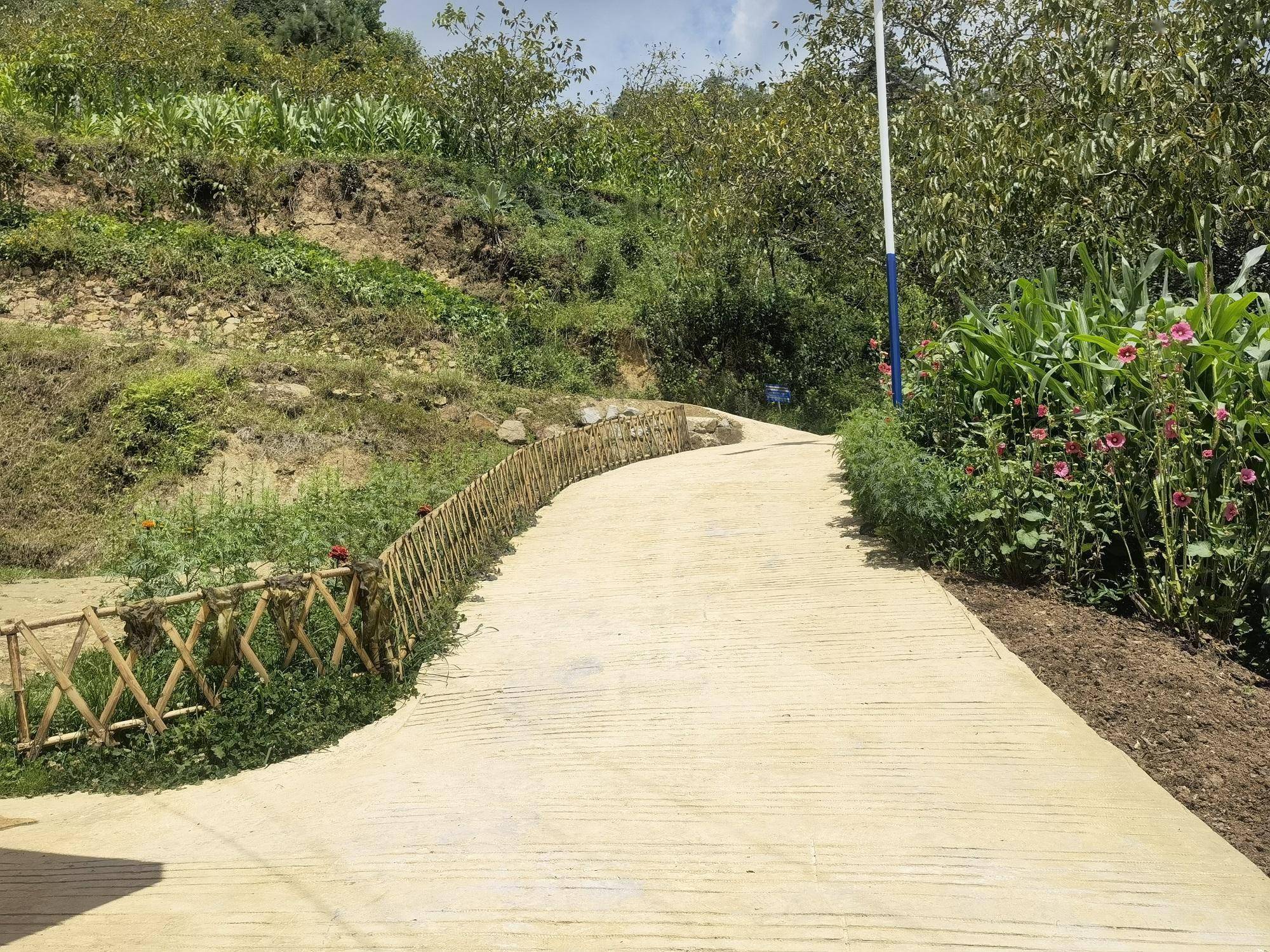 楚雄市中山镇:推窗见景 开门见绿 开启人居环境"美颜"模式_村里_工作