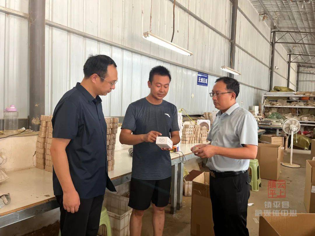 镇平县枣园镇蒋刘洼村小艾草托起乡村振兴大梦想!