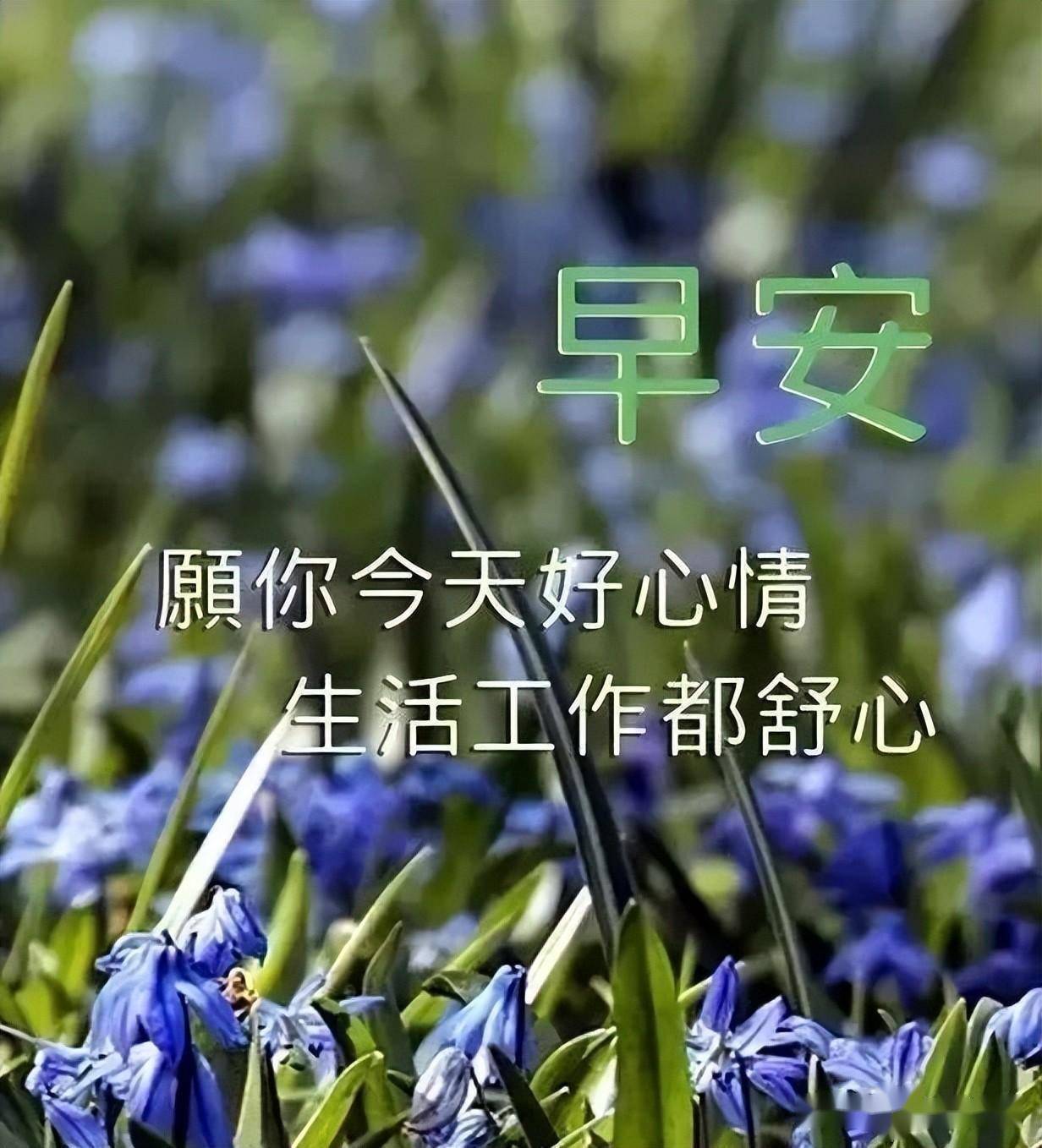 夏天最新早上好表情包大全事事顺利身体健康一帆风顺