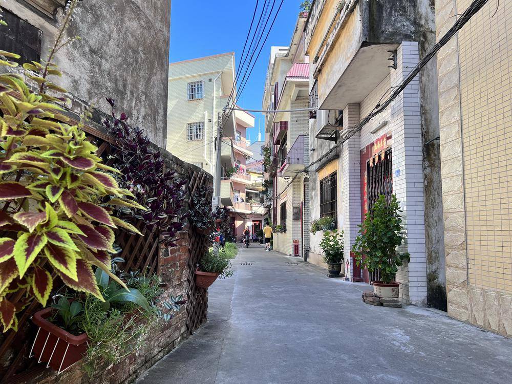 佛山顺德均安这两个社区居民幸福感满满_三华_工作_南沙