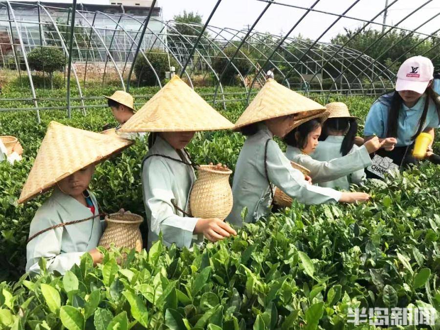 打卡文旅IP系，潮玩在城阳！城阳区创新构建湾区活力休闲游集群，赋能建设胶东经济圈消费中心区