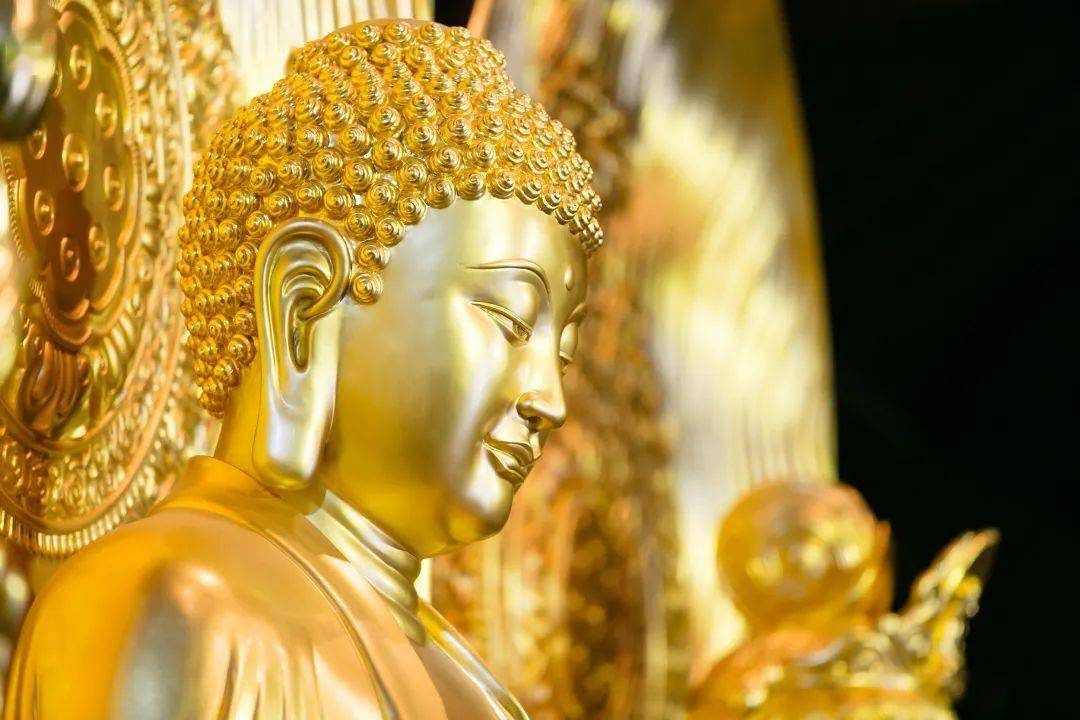 这样恭迎大势至菩萨圣诞,最是殊胜吉祥!_众生_方法_阿弥陀佛