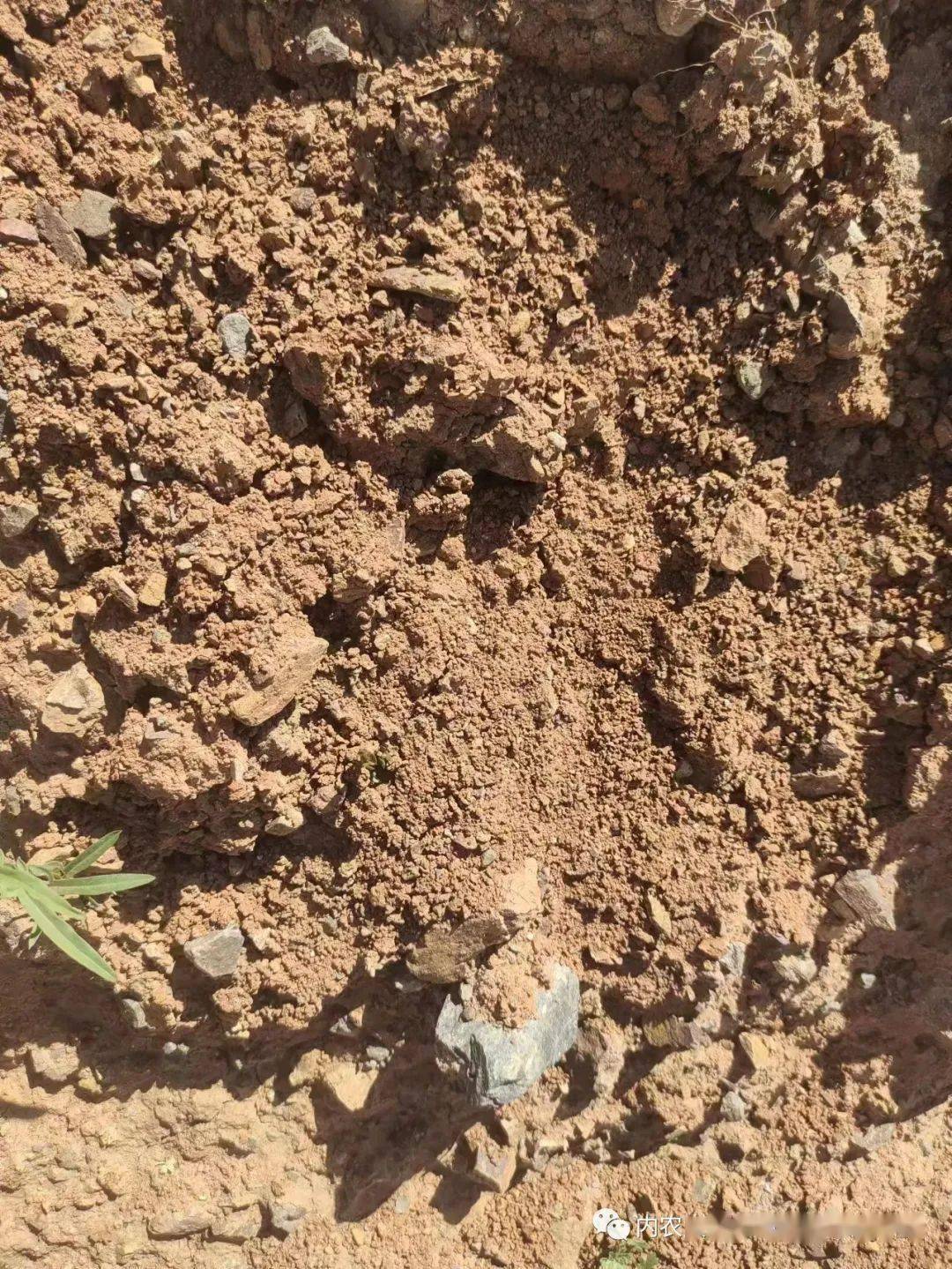 【实践纪实】我院"图南"实践队实践纪实(二)(三)(四)_土壤_剖面_取样