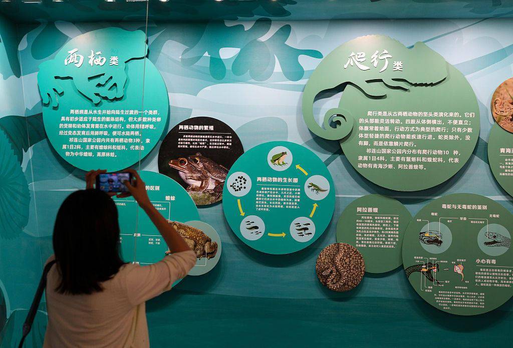 青海海北祁连山国家公园生态科普馆即将对外开放