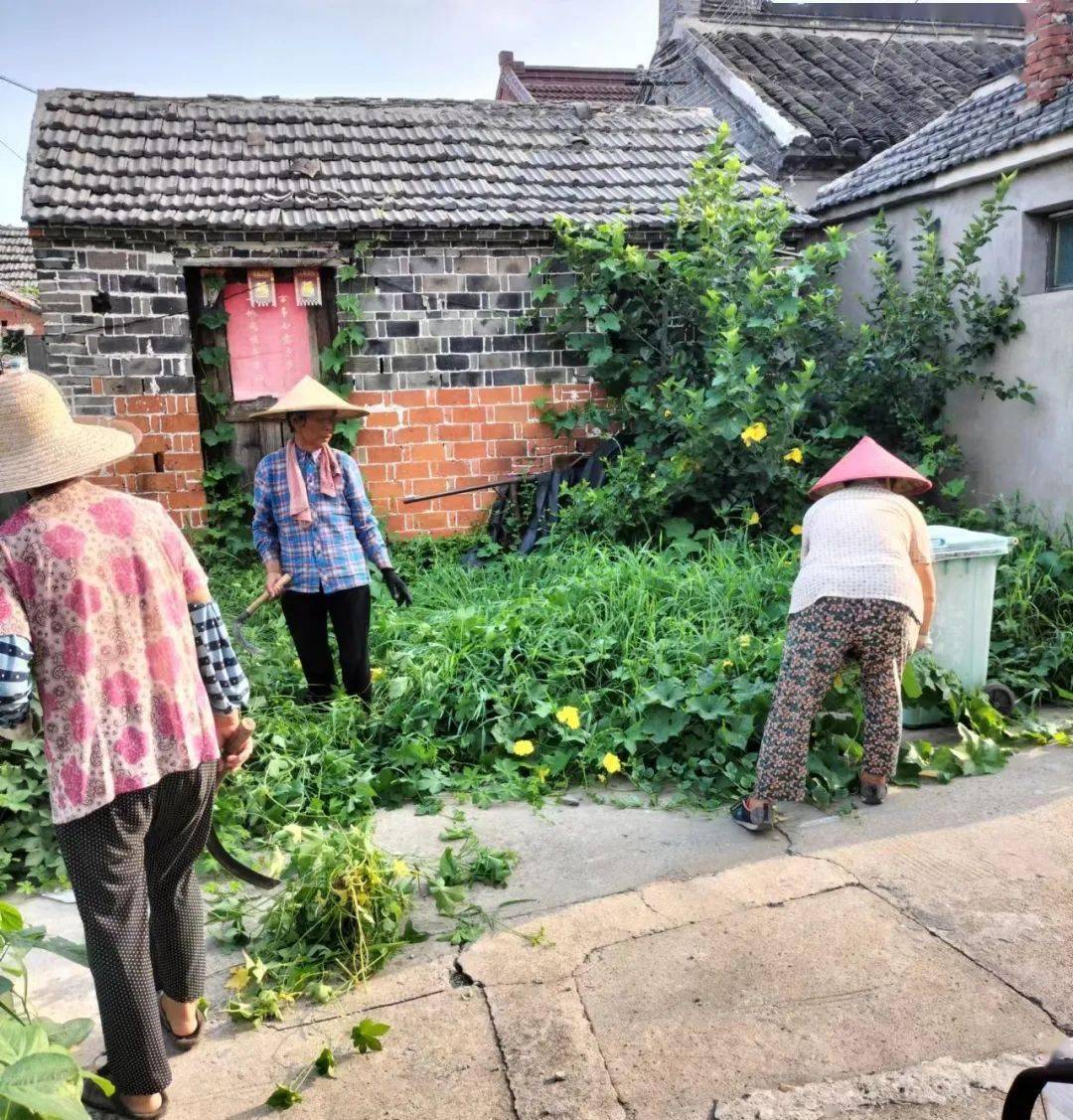 兴南社区红星村五里亭社区新姜村朱中村临东村刘陆村南山社区古砖场村