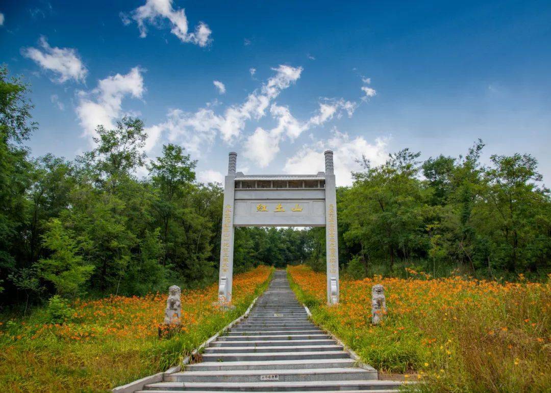 宝鸡野河山景区图片