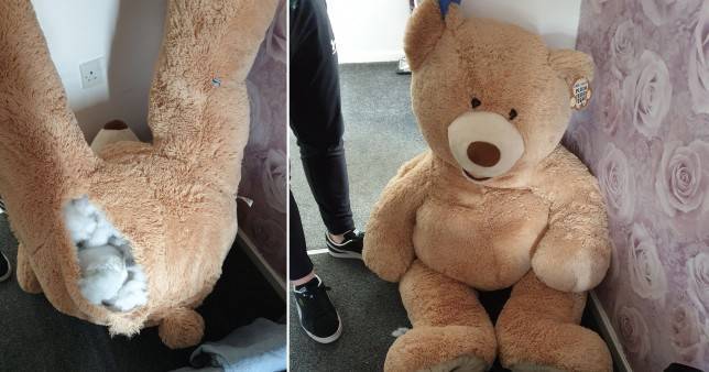 英国一偷车贼为躲避警方追捕藏进泰迪熊玩偶