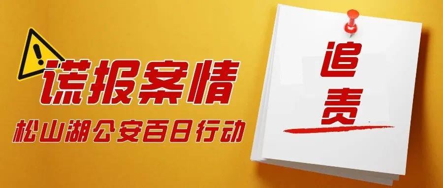 提醒！盗贼16小时落网，报警人弄虚作假谎报案情也被拘！ 松湖 Sir 帅某