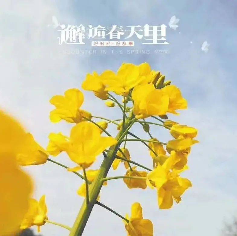 最棒的一段话_借人_行动_嘴角