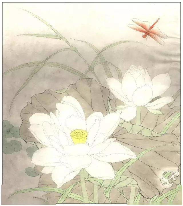 李晓明工笔《紫荷红蜻蜓》绘制步骤_水草_整体_部分