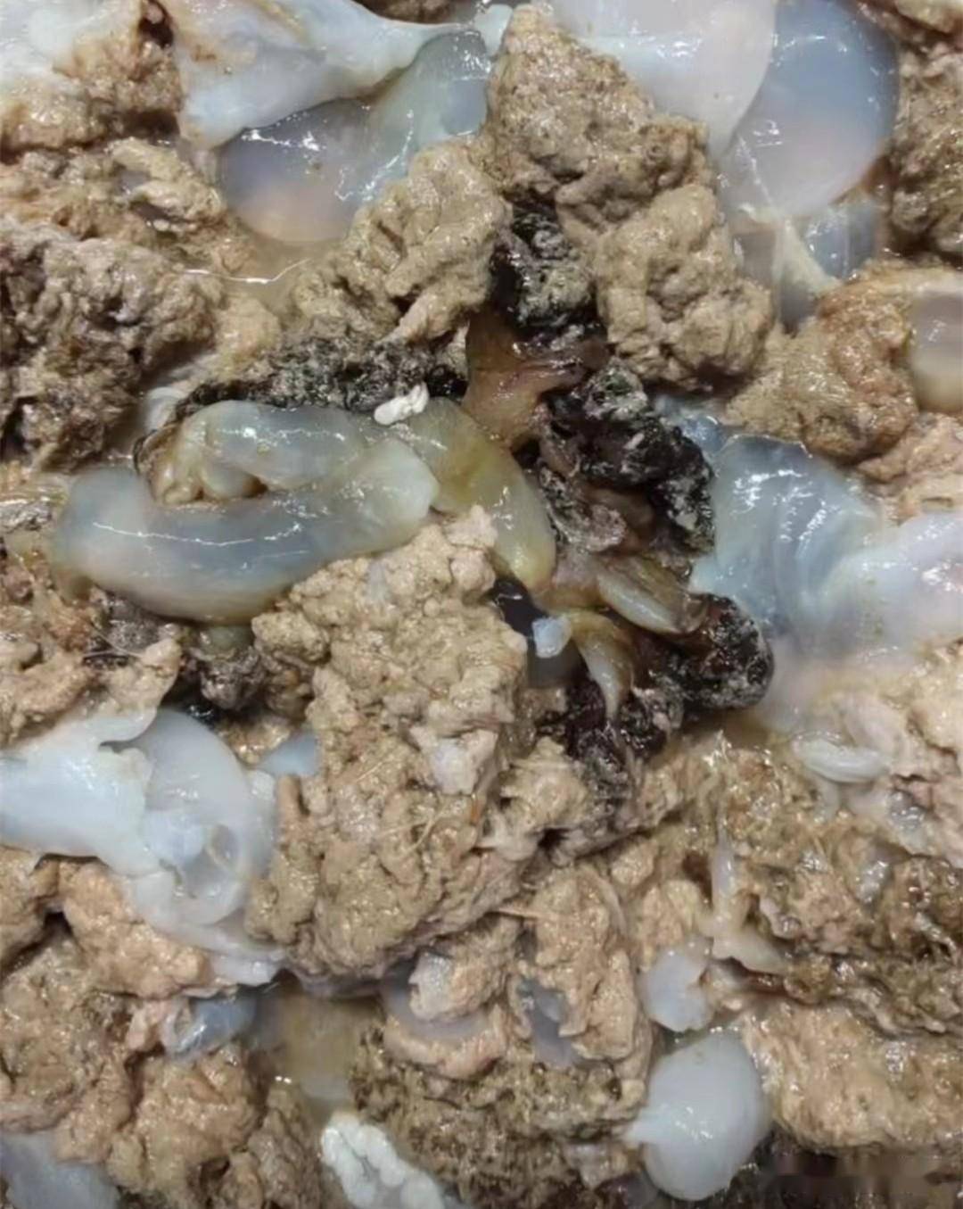 山东有5大怪味美食当地人吃不厌外地人却直摇头这能吃吗?