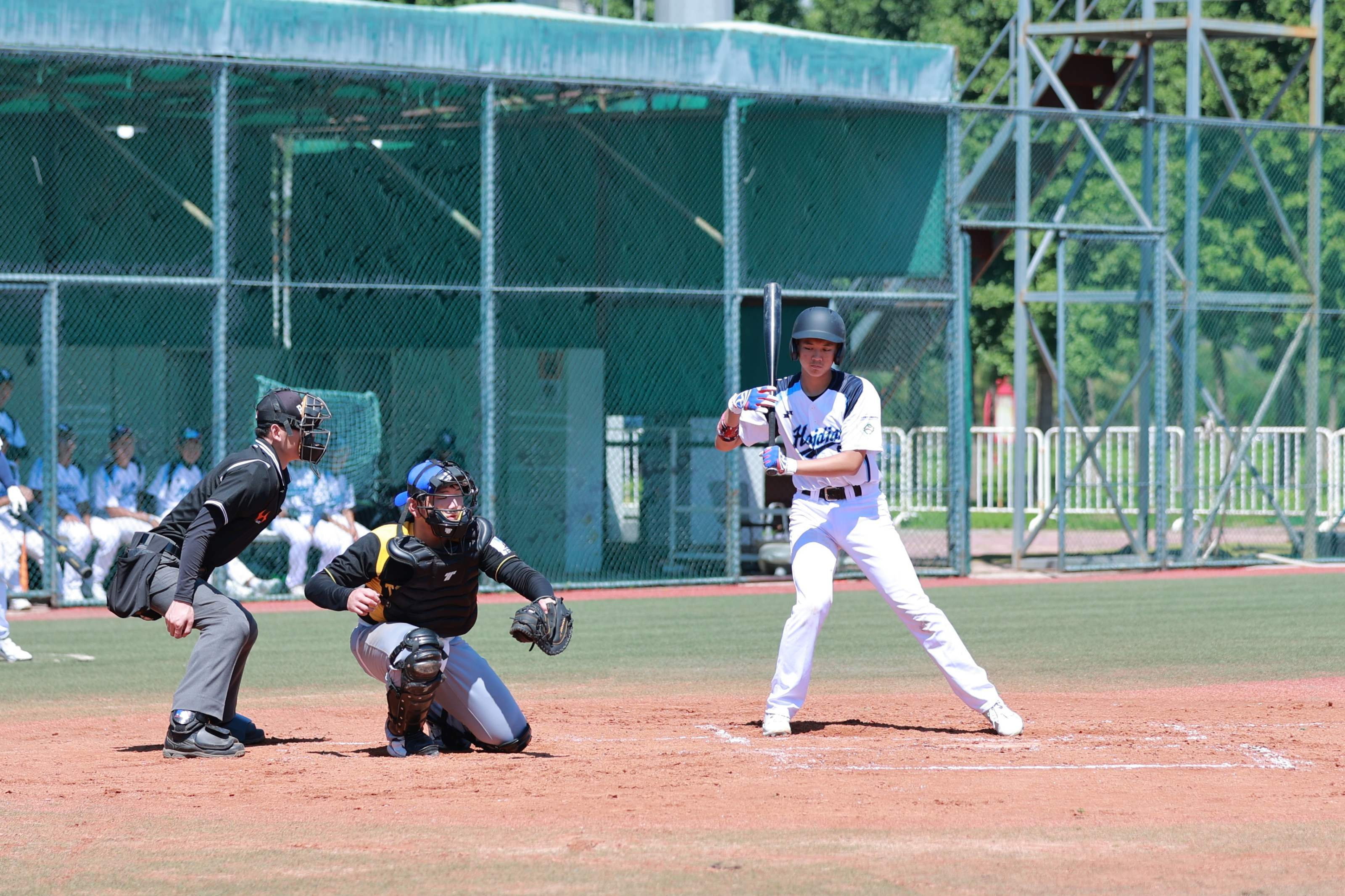 17支队伍参与 北京市十六运棒球比赛落幕_乙组_丰台区_朝阳区