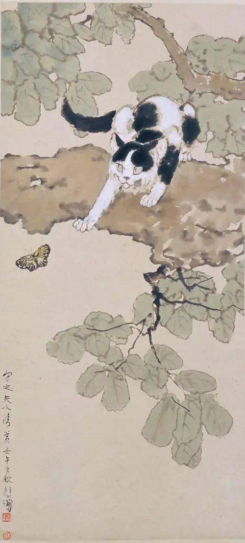 徐悲鸿画猫_搜狐网