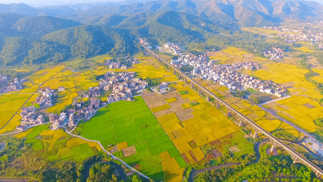 特色村落,名胜古迹,独特民俗等特色,让罗定成为多彩摄影地_资源_历史