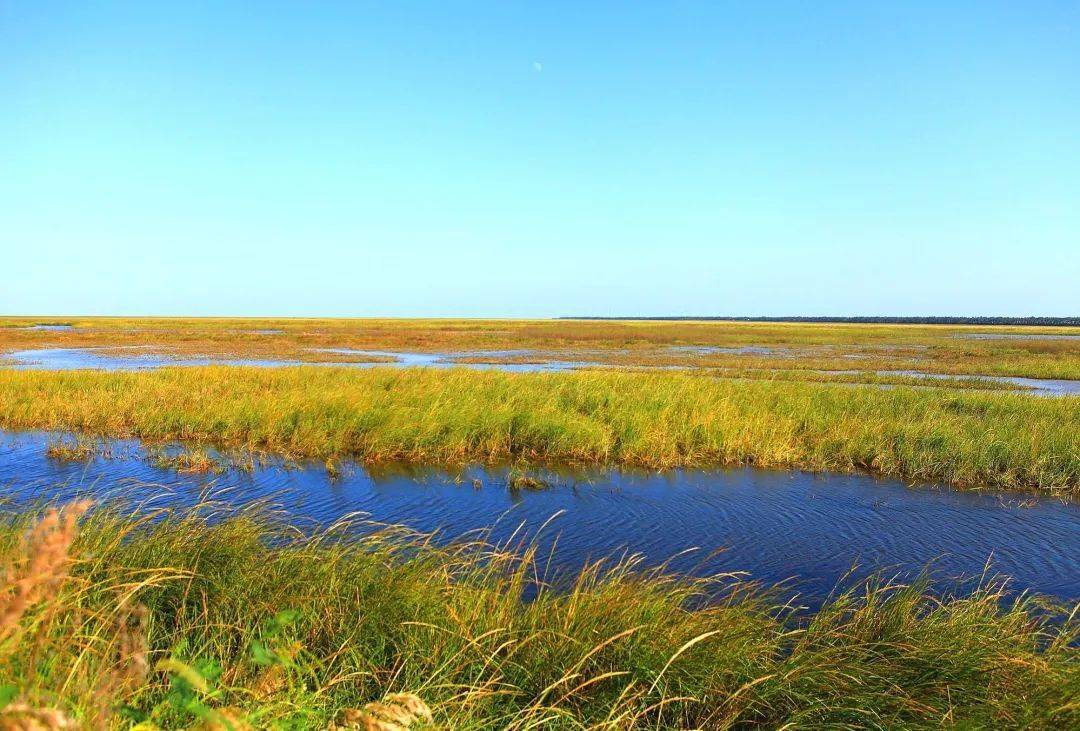 秋高气爽摩旅天,秋季摩旅线路推荐②——穿越黄海之滨_南通市_滩涂