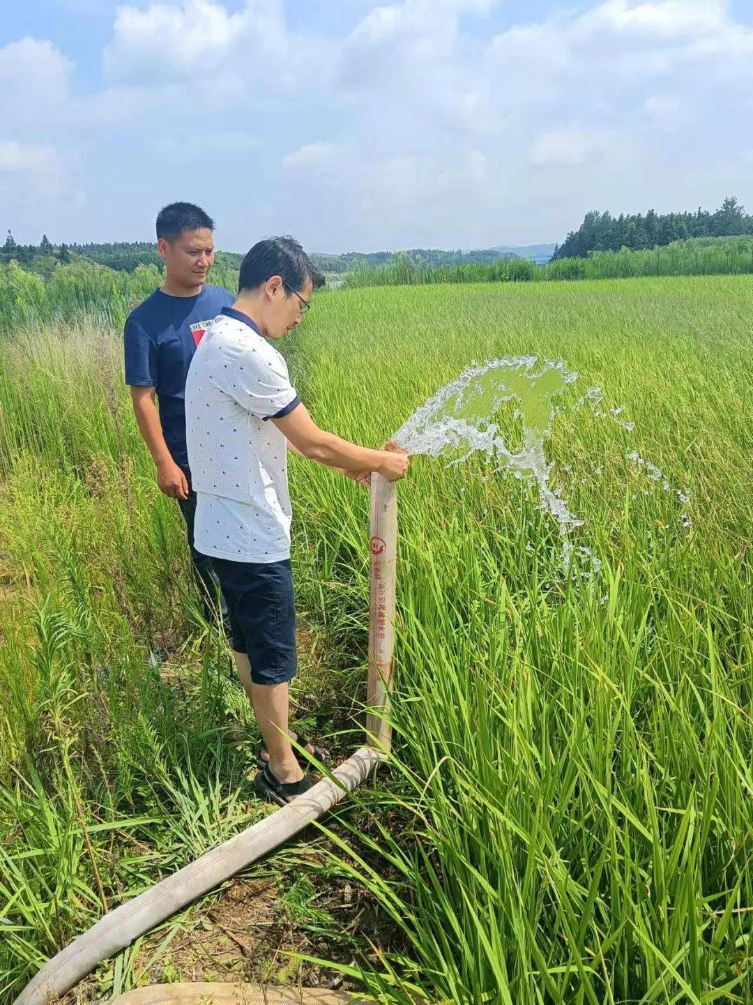 全省基層應急人奔忙抗旱掠影!_灌溉_用水_水源