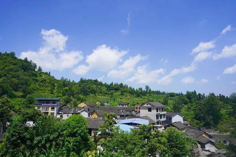 市场上引爆张排村"月亮岛庄园,寨阳村"峒河花岸"十八湾村"天空一号"