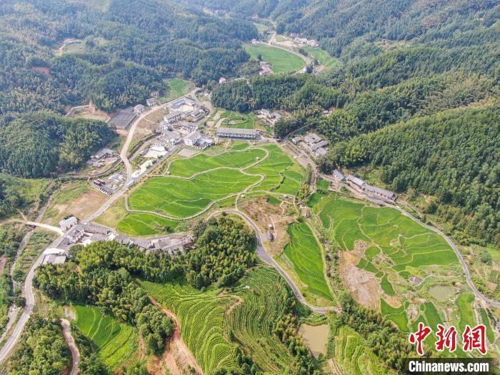 航拍江西铜鼓坪田村 绿意盎然风光迷人成美丽乡村样板