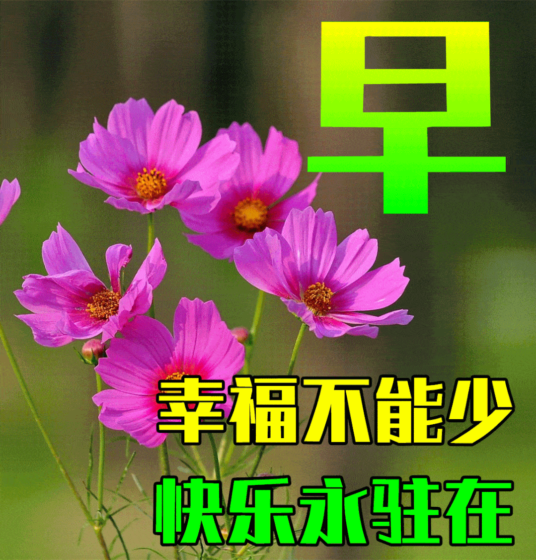 8月17日秋天早上好动态表情图片大全 早晨好动图美图大全 问候 祝福 人生