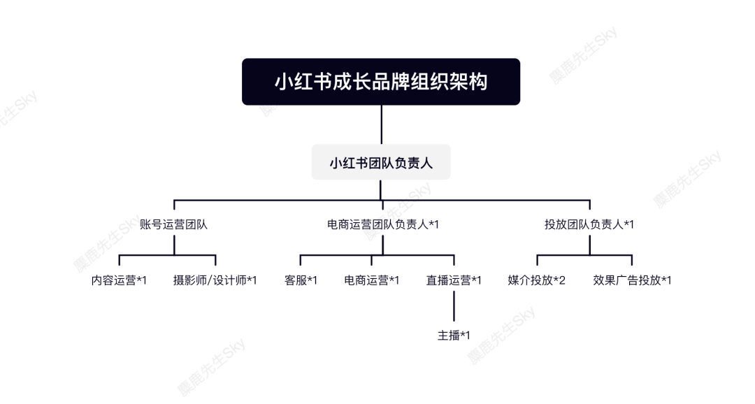 雷泽体育官网小红书筹划团队构造架构计算规划(图7)