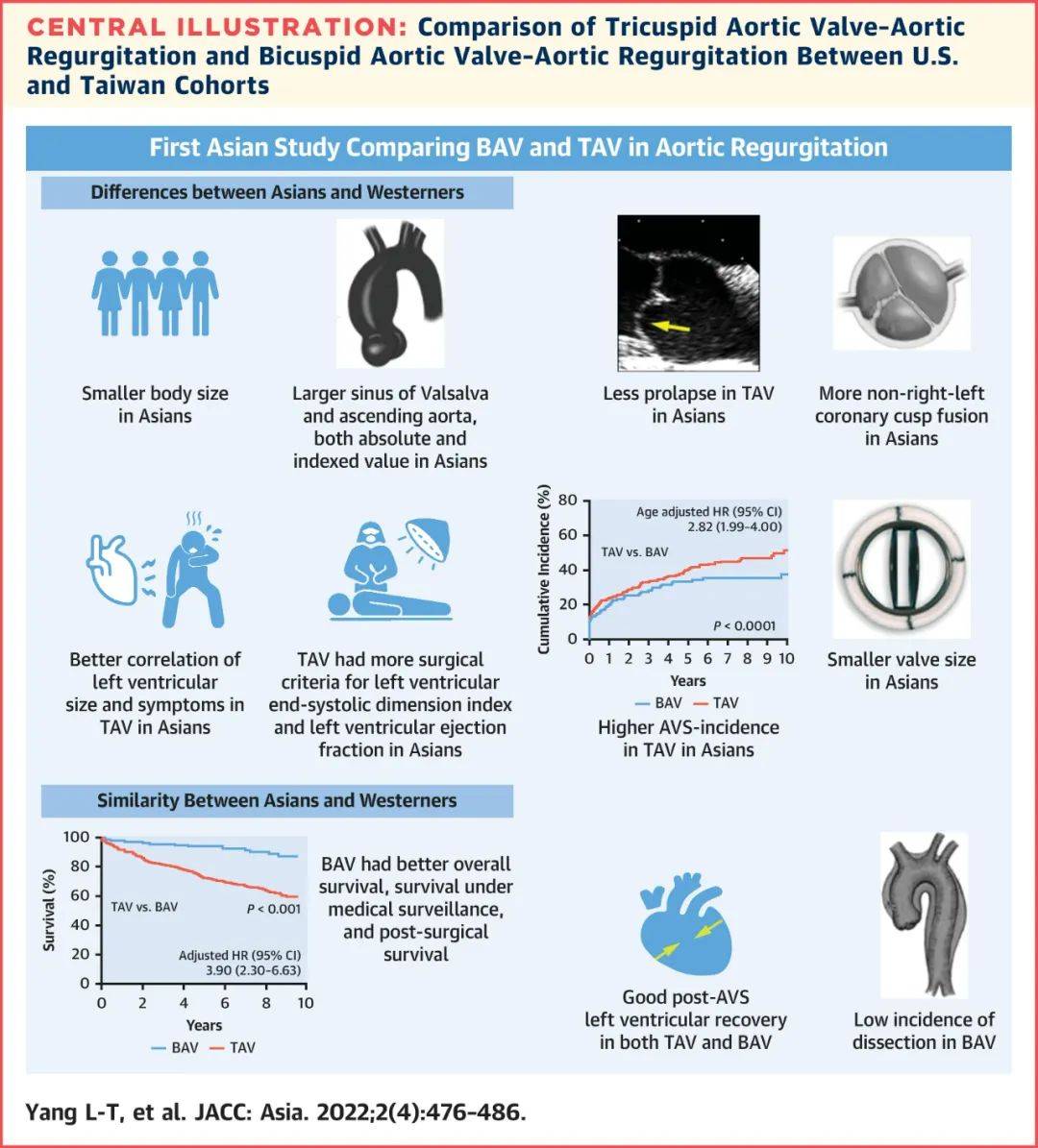 comparison between bicuspid and tricuspid aortic regurgitation