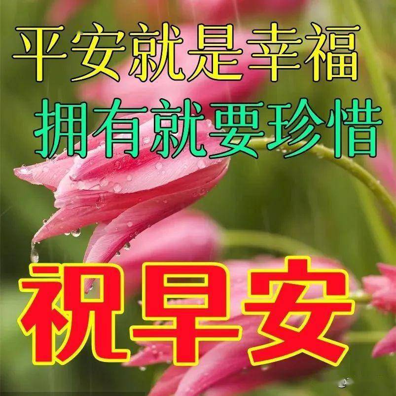 2022最新早上好表情包,清晨一起微信见,送上问候和思念_生活_成功