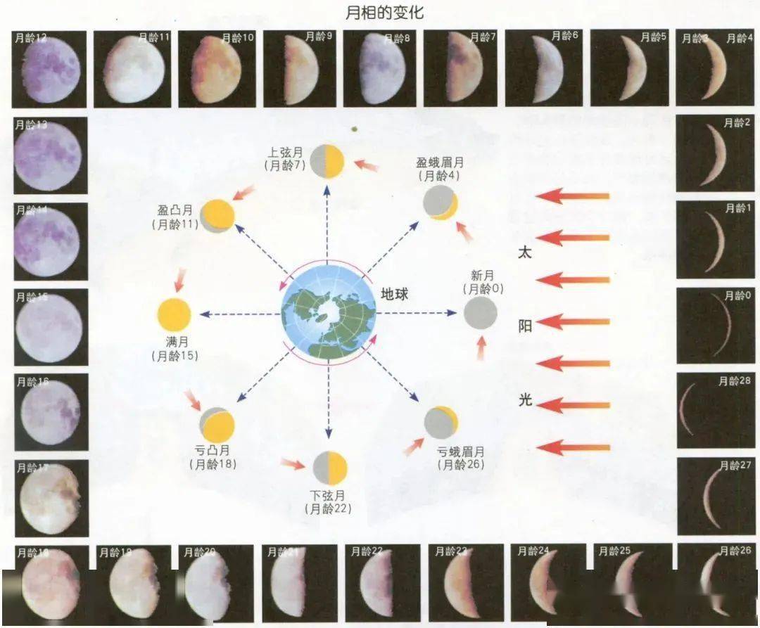 上弦月下弦月区别图片图片