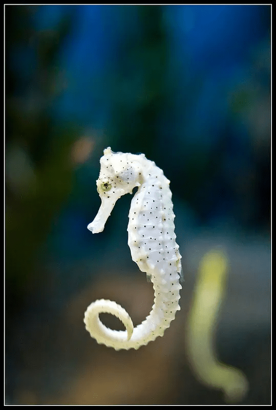 我运动，我健康，我快乐，南卡Runner 3 Pro为运动增添乐趣