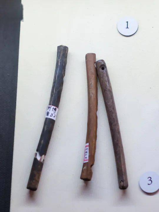 这组器物是河姆渡人吹奏过的骨哨,是用鸟类肢骨中段加工制作而成,其中