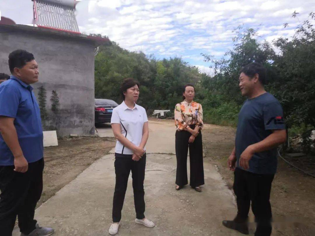 韩旭暗访检查农村问题厕所排查整改和防汛防灾工作_花沟村_韩旭_厕所