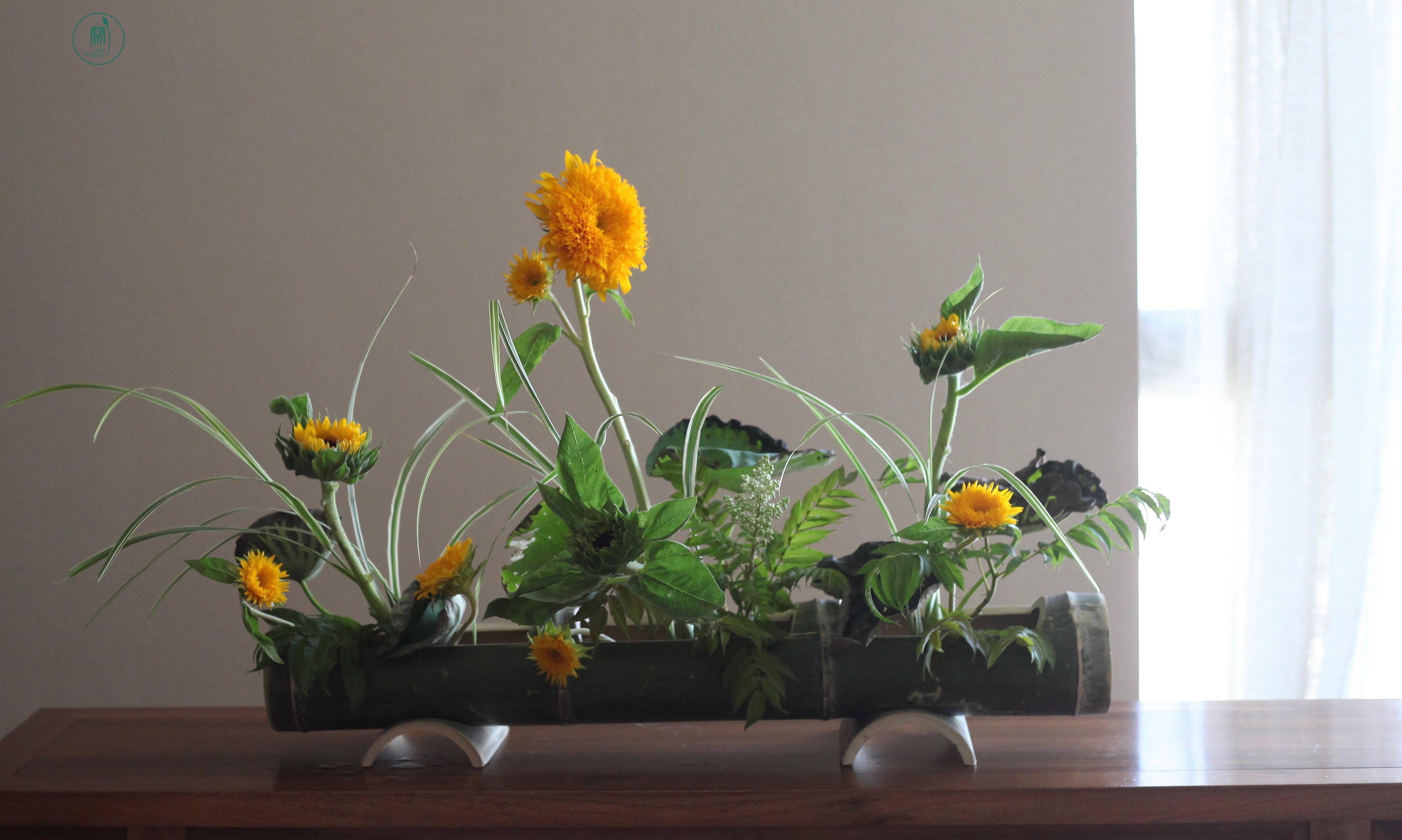 西安插花培训|蘭印象小原流花道教室#花道课