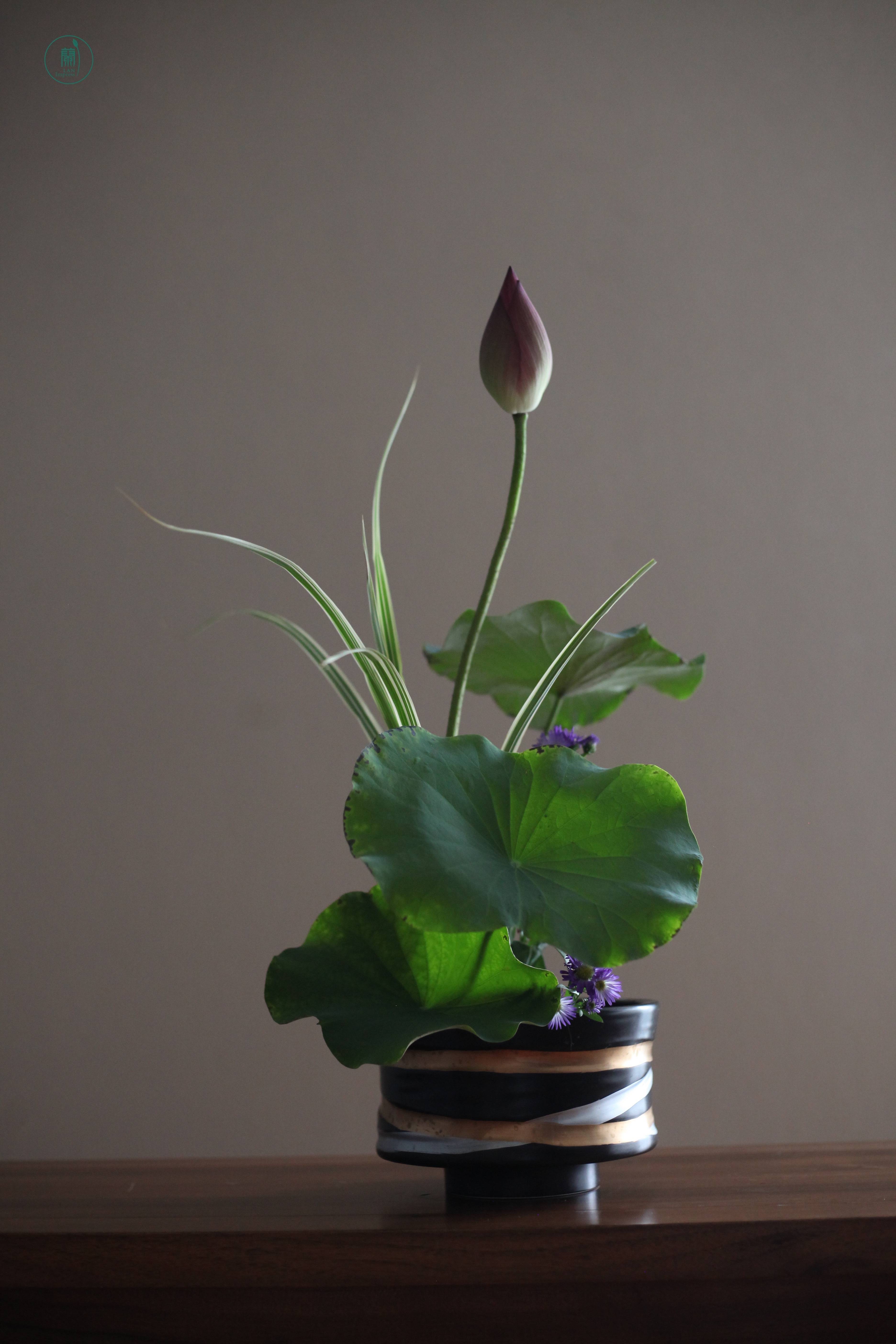 西安插花培训|蘭印象小原流花道教室#花道课