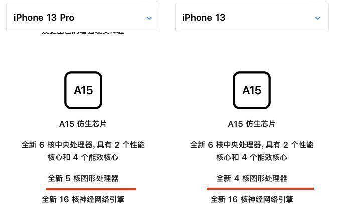劃船世青賽
：陳若琳/王宗源摘跳高奧運金牌