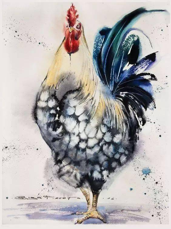水彩,油画,国画中的鸡,你更喜欢那一只呢?_合作_简画鸡_墨趣尽