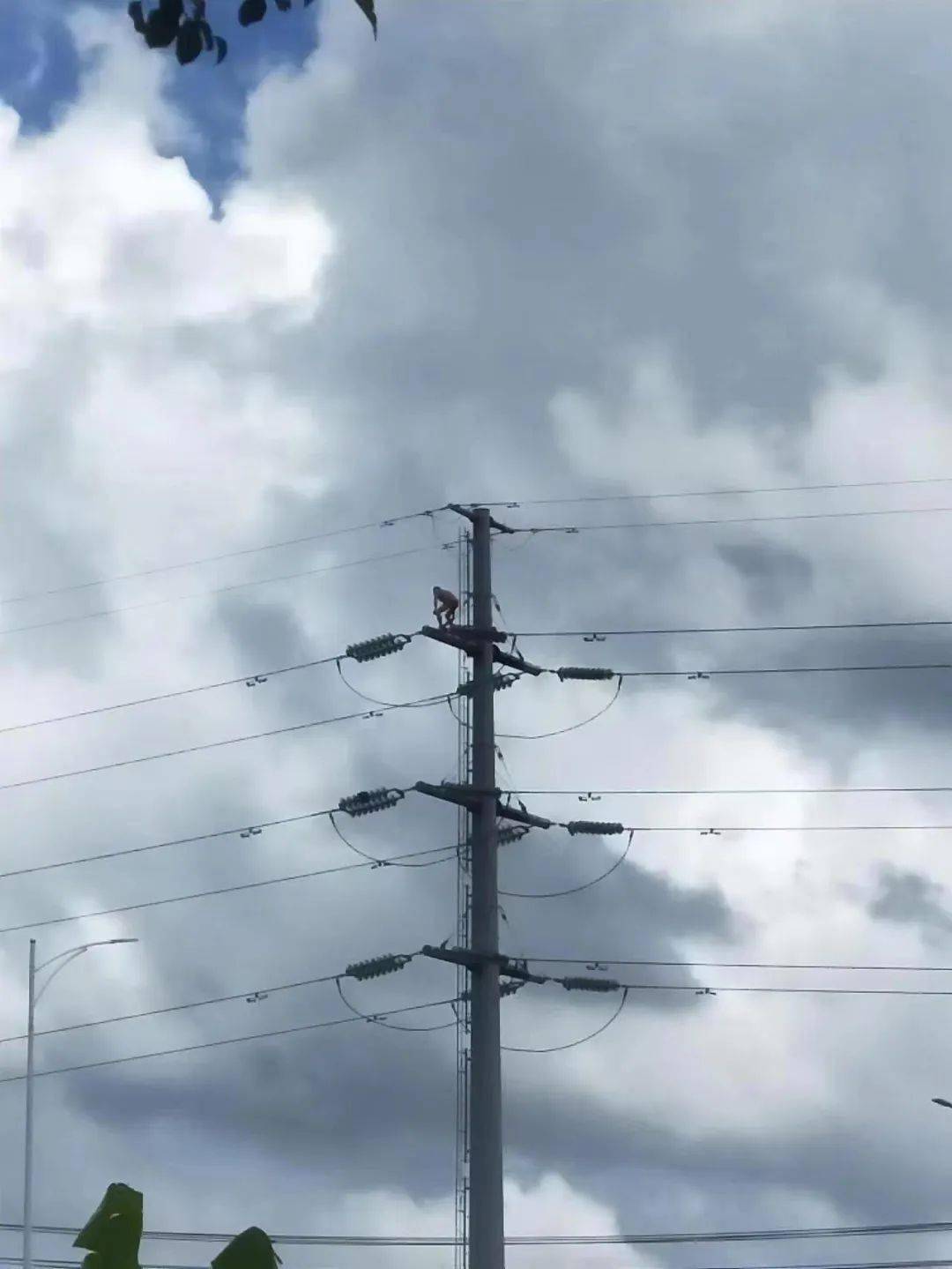 潮汕一男子徒手爬上電線杆欲輕生,致大範圍停電幾小時_生活_峽山_網友