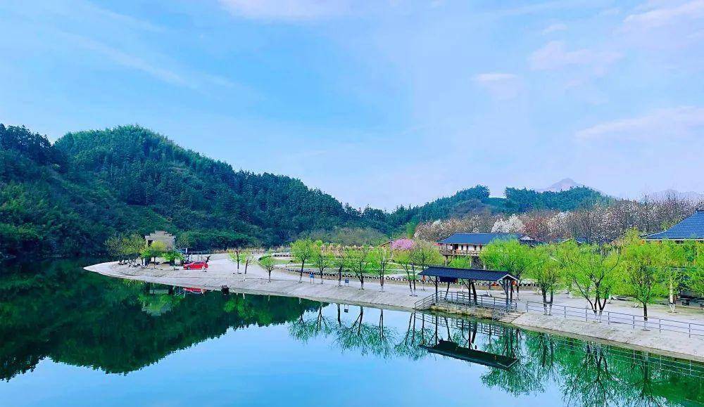 "渔"你相约,乐享盛夏|黄山杨家寨第七届"渔乐节"活动圆满收官,景区