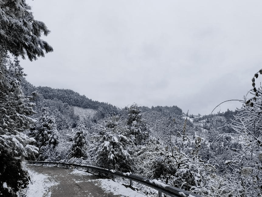 千里之外,他们在黔南挚画帮扶"同心圆"_三都_工作_建设