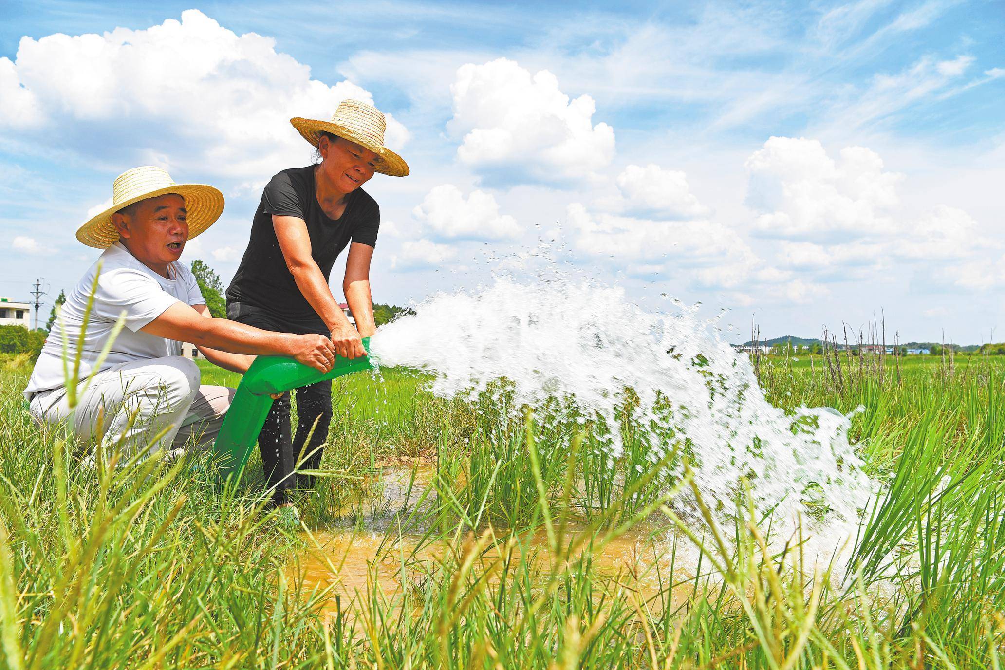 2万支工作队勇当主力军_抗旱_驻村_灌溉