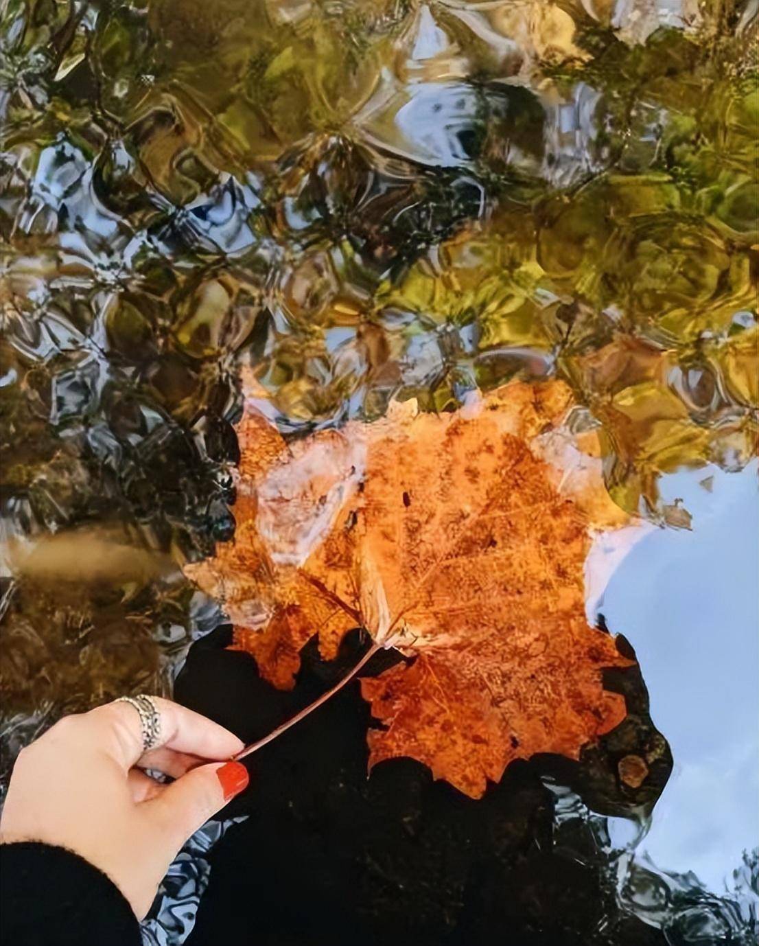 塵埃落定已然孤獨無論今天發生多糟糕的事不要影響今天愉悅的心情一