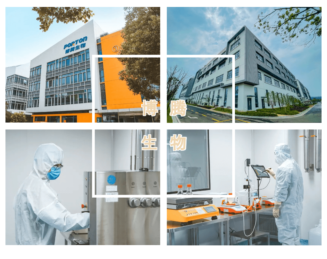 博腾生物获数亿元b轮融资,加快全球化,端到端的基因与细胞治疗cdmo