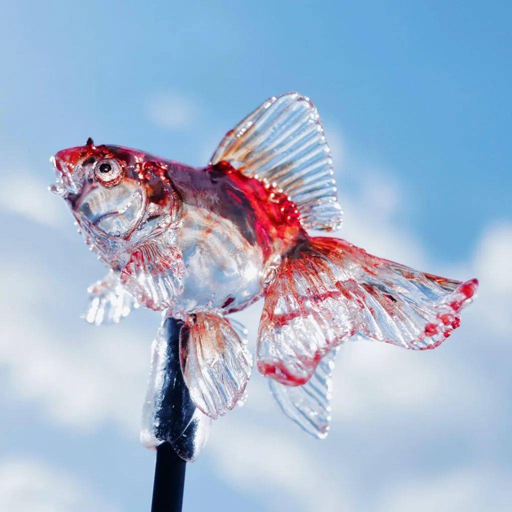 被ins刷屏的「透明」!琼脂,寒天,吉利丁现身!再不解暑就不礼貌了!