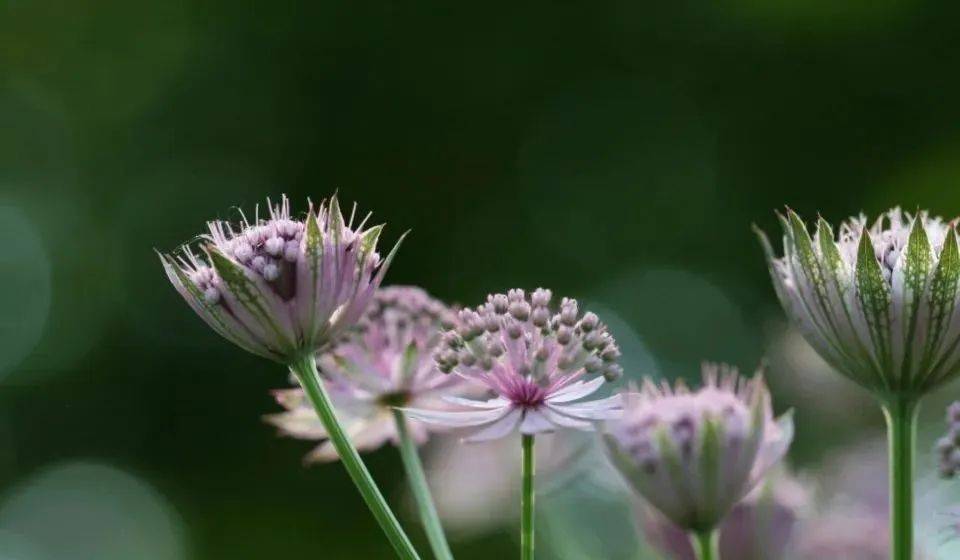 格力电器与河北代理商分手再发酵,商家担心价格市场会乱套-家电圈官网