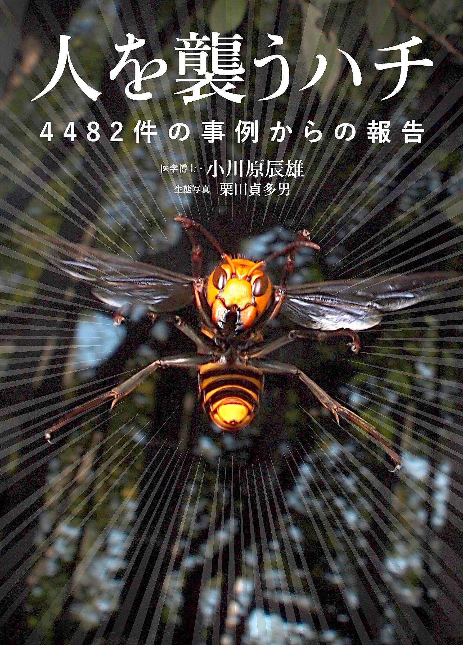 日本最致命的动物:它稳居第一,棕熊,毒蛇排后面_大黄蜂_巢穴_袭击