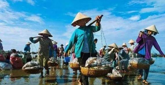 越南百万吨特产无人问津，只能任其腐烂，却想让中国游客赔偿