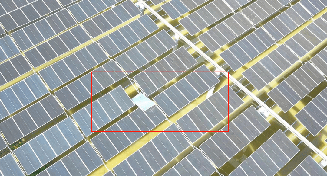 多個視頻及照片顯示,在華南某地大型漁光互補項目上,採用柔性光伏支架