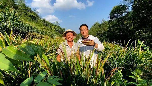 岚皋县县长杨乐图片