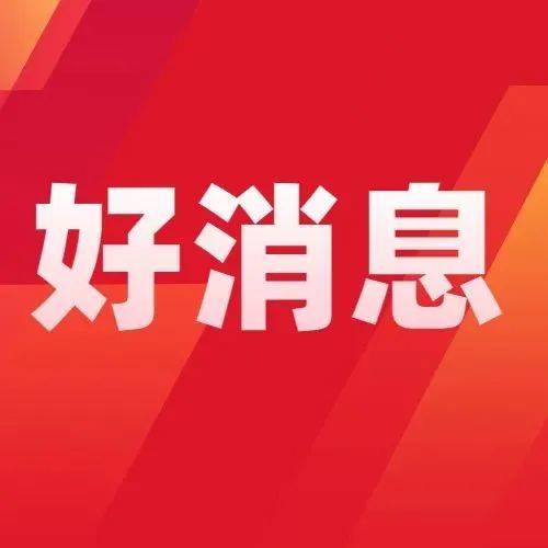 最新市场价格趋势分析