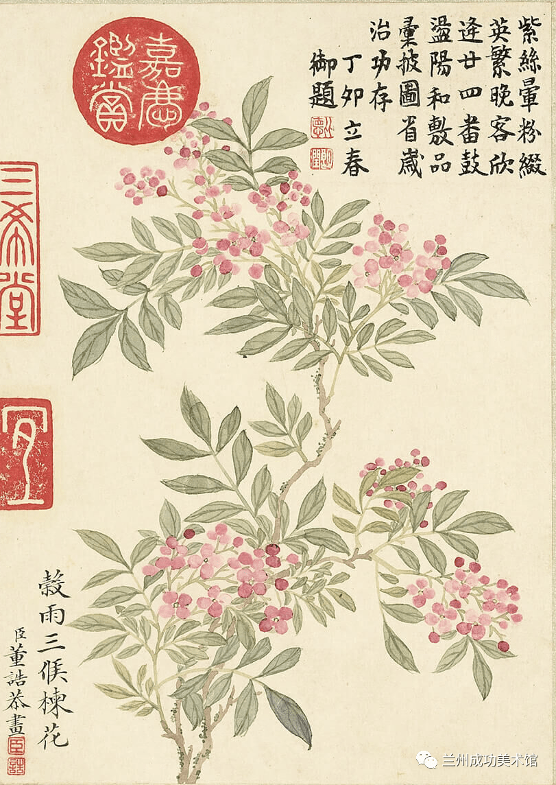 诗画阅微】董诰的《二十四番花信风图》_明一候_书画_宣传