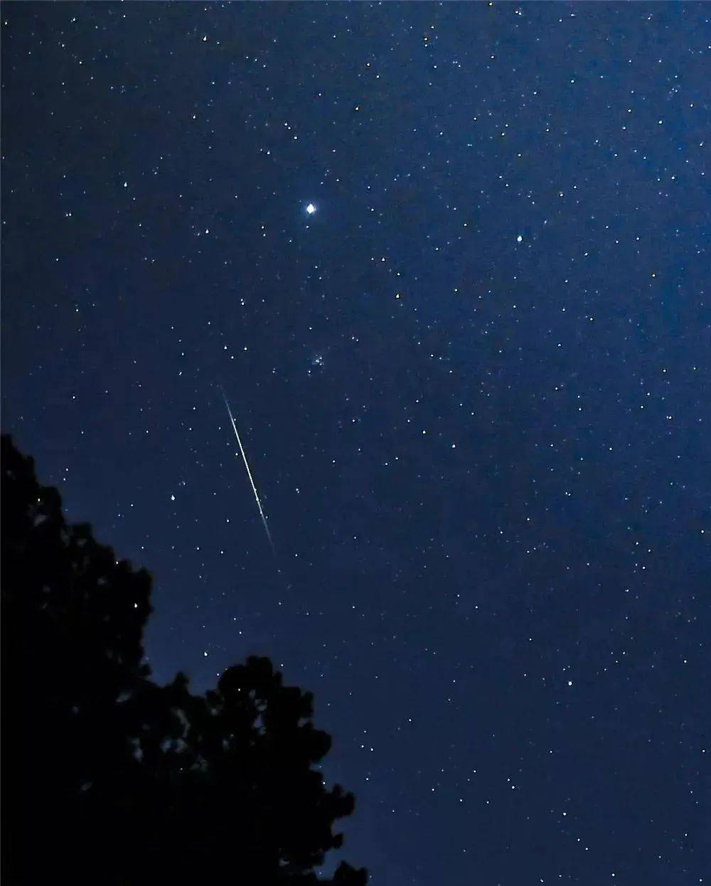 去处描绘我们头顶的星空和亿万星辰我们可以用世上所有最美的语言灿烂